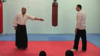 Aikido Techniques [upl. by Alphonse]