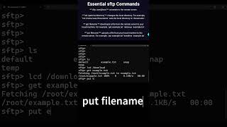 Mastering SFTP Essential Tips amp Tricks sftp techshorts shorts [upl. by Sirois173]