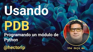 Usando PDB de Python Python Debugger [upl. by Anid289]