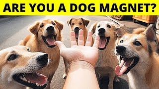 10 Secret Reasons Why You’re a True Dog Magnet [upl. by Nairehs158]