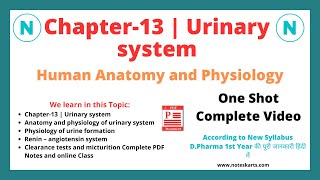 Chapter13 Urinary System Complete Class anatomy and physiology chapter 13 by Noteskarts [upl. by Milah186]