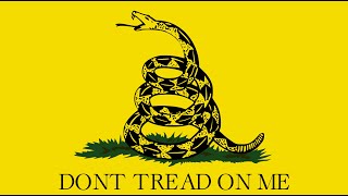 Exploring the Roots of Libertarianism in America [upl. by Theta]