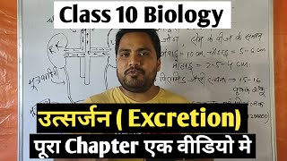 उत्सर्जन Excretion class 10 biology  10 class biology chapter 4 in hindi [upl. by Colt143]