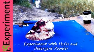 Experiment with Detergent Powder Hydrogen Peroxide  SmartGenius [upl. by Rodney]