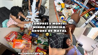 Minha primeira árvore de Natal  compras do mês🎄❤️ minnynovamente [upl. by Inram]