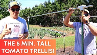 Build This Tall Tomato Trellis in Just 5 Minutes [upl. by Alletse]