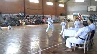 Examen de cinturon blanco karate [upl. by Notreve996]