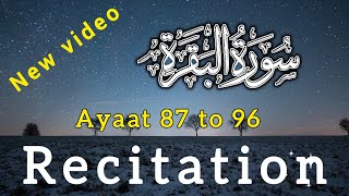 sura albakara best recitation Quran recitation surah Al Baqara best Islamic videoquran islam [upl. by Acinomahs213]