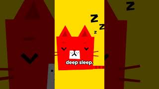 Cats Can Sleep Up to 16 Hours a Day Heres Why [upl. by Snevets]