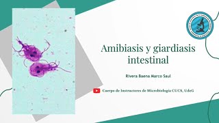 Amebiasis y giardiasis intestinal [upl. by Anelle]