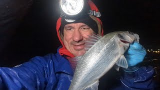 12 Months of Bass challenge completed  Anglesey beach fishing [upl. by Harehs621]