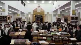 Purim In Yeshivas Mir Jerusalem 2017  פורים בישיבת מיר ירושלים [upl. by Llerrod408]