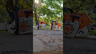 STIHL MS 500i amp 462 [upl. by Yarehs507]