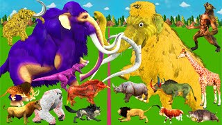 Modern Mammals vs Cenozoic Animals Size Comparison Mammoth TRex Vs Elephant Lion Animal Epic Battle [upl. by Aisor]