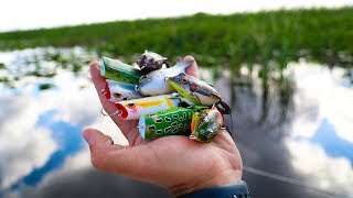 Do Bass Eat Frogs In WINTER Topwater blowup  Jiggin With Jordan [upl. by Dow68]