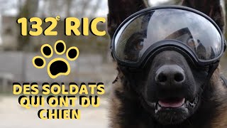 Chiens soldats au 132e RIC [upl. by Ynttirb996]