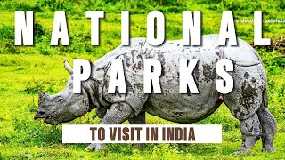 Exploring Indias Top National Parks [upl. by Elleivap]