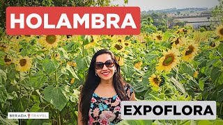 O que fazer em Holambra em 1 dia com Expoflora 2023 [upl. by Anrahc]