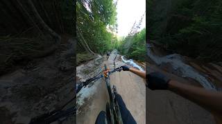 Biking down a River mountainbiking mtb [upl. by Melisa435]