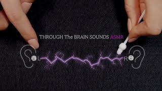 ASMR Through The Brain amp Ears Sounds Collection 🧠 [upl. by Pol]