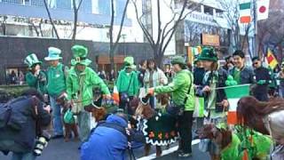 St Patricks Day parade in Tokyo  2009  Dog Clubs use HQ [upl. by Drareg430]