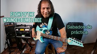 Flight Of The Wounded Bumblebee ibanez guitarra guitarraelectrica delay extreme [upl. by Gitlow]