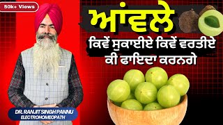 ताजा आंवला लाख का खराब आंवला सवा लाख का  100 Benefits of Aamla By Dr Ranjit Singh Pannu [upl. by Matt960]