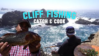 CLIFF FISHING CATCH amp COOK DELICIOUS KELP GREENLING [upl. by Marutani]