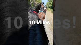 🐎11 miles in 17 seconds❗️horse horseriding gopro endurancehorse equestrian trailriding [upl. by Ltihcox]