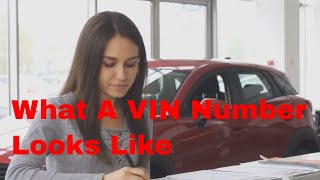 What a VIN Number Looks Like amp How do you find it on a vehicle  A simple guide [upl. by Anelhtak170]