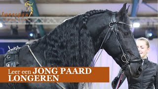 Leer hoe je een JONG PAARD moet LONGEREN [upl. by Leumel]