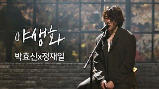 풀버전 박효신Park hyo shinx정재일Jung jae il， 한층 깊어진 감성 ′야생화′♪ 너의 노래는Your Song 1회 [upl. by Seana]