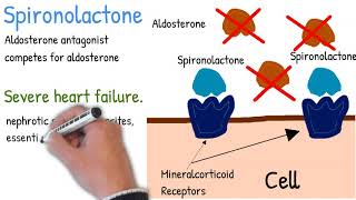 Spironolactone  Mechanism of action use and side effects simply explained [upl. by Perdita]