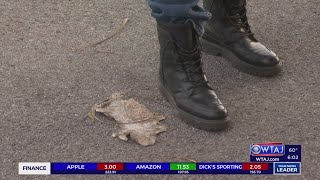 Altoona residents beg city for help in addressing rat infestation [upl. by Rosina812]