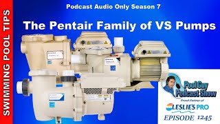 Pentair family of VS VST amp VSF Pool Pumps [upl. by Yornek471]