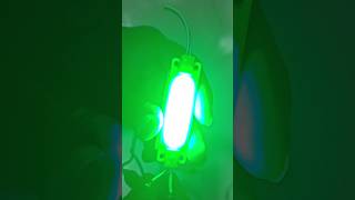 12V Multi Colors LED Lights  DClight multicolor shorts diy led [upl. by Colwell433]