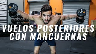 Cómo hacer Vuelos Posteriores con Mancuerna Inclinado  Ejercicio para Hombro  Deltoides Posterior [upl. by Enayd442]