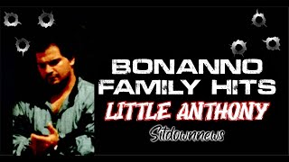 Bonanno Family  Hit [upl. by Yemrej]