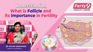 Understanding  What is Follicle and its Importance in Fertility  follicular ferty9 pregnant [upl. by Eelegna]