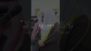 quotتضيق بك الأمور؛ فتفيء إلى القرآن لتجد فيه مستراح قلبكquot 🤍 [upl. by Llevol132]