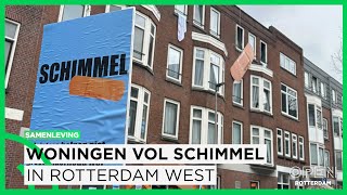 Schimmelplaag in huizen Essenburgstraat ‘Pleisters plakken is geen oplossing’  SAMENLEVING [upl. by Manup]