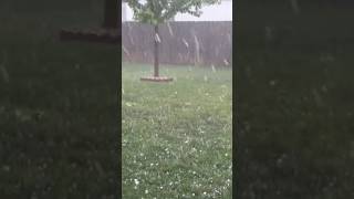 Severe hail storm [upl. by Auoz204]