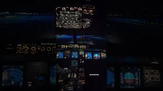 Flying the A320 FFS Simulator Adrenaline amp Precision Without Leaving the Groundaviation airplane [upl. by Nymzaj]