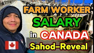 FARM WORKER SALARY in CANADA pinoycanada filipinocanada buhaycanada canadalife [upl. by Carl]