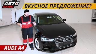 Риск ли брать бу Audi A4 в кузове B8  Подержанные автомобили [upl. by Nura]