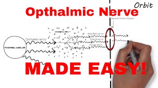 The Ophthalmic Nerve  Trigeminal Nerve Part II  Neuroanatomy [upl. by Covell]