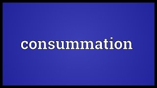 Consummation Meaning [upl. by Felipa]