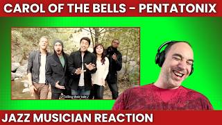 This is Perfect for them Pentatonix Reaction  Carol of the Bells [upl. by Neelyahs]