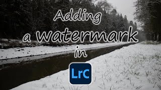 Adding a watermark to your pictures in Lightroom heres how [upl. by Assener]