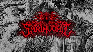 Sarinvomit  Belials Curse Upon Vatican Official Lyric Video [upl. by Akisey]